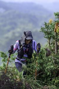 BIB: 
                            <button type="button" onclick="openModal(24766072)" class="btn btn-primary btn-sm float-right btn-popup" data-toggle="modal" data-target=".modal-high-quality">
                        <i class="fas fa-shopping-cart"></i> Add to Cart
                    </button>
                                            <button type="button" onclick="isThisMe(24766072, true)" class="btn btn-success btn-sm float-right btn-popup btn-isme hidden" data-toggle="tooltip" data-placement="bottom" title="นี่คือรูปของคุณใช่ไหม คลิกที่นี่เพื่อเอาเข้าอัลบั้ม">
                        <i class="fas fa-plus"></i> Add to album
                    </button>
                    <button type="button" onclick="isThisMe(24766072, false)" class="btn btn-warning btn-sm float-right btn-popup btn-isnotme hidden">
                        <i class="fas fa-ban"></i> Remove from album
                    </button>